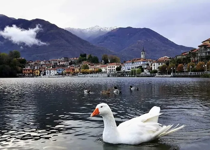 Casa Delle Rose Lejlighed