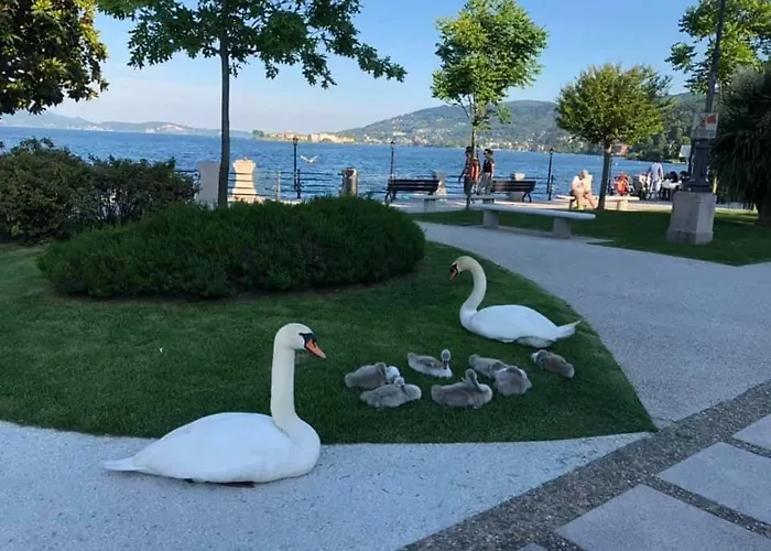 Casa Delle Rose شقة فيربانيا